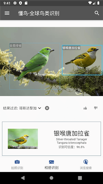 懂鸟全球免费原版图2