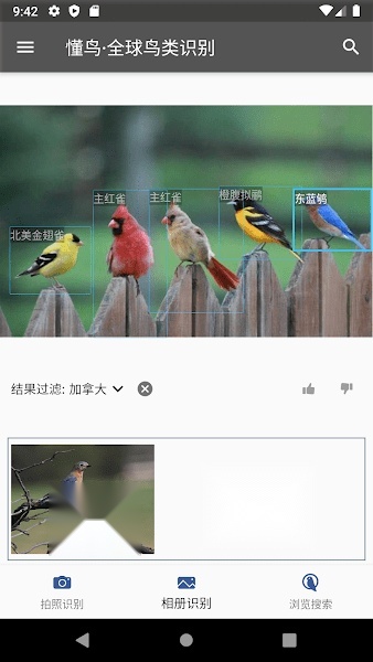 懂鸟全球免费原版图3