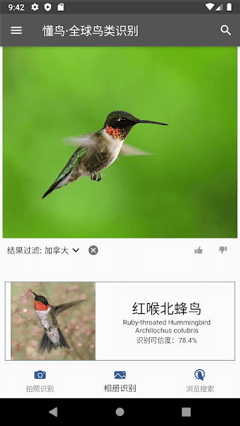懂鸟全球免费原版图4