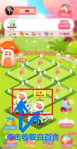 开心花园(4)