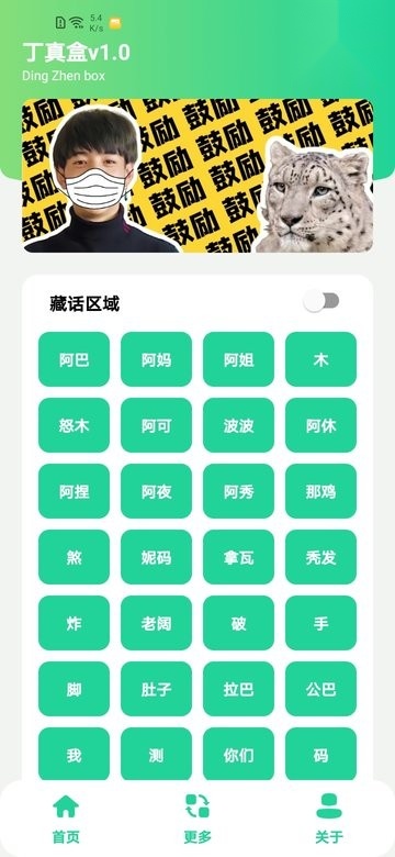 丁真盒图1