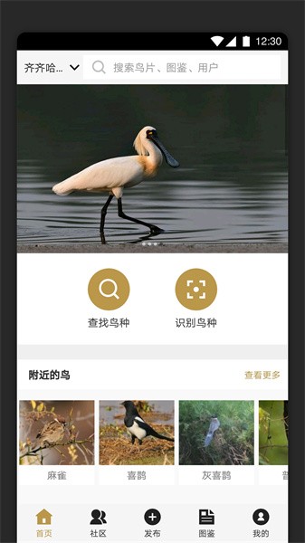 识鸟家安卓直装版图1