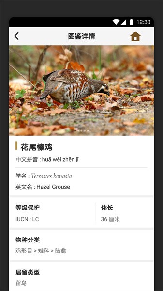 识鸟家安卓直装版图2