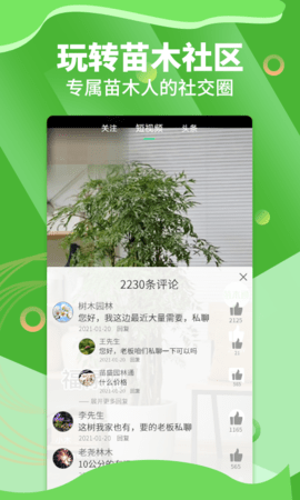 苗木通(2)