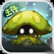 灵魂岛