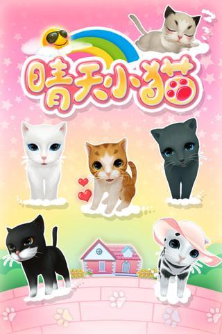 晴天小猫图1