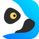 狐猴浏览器原版