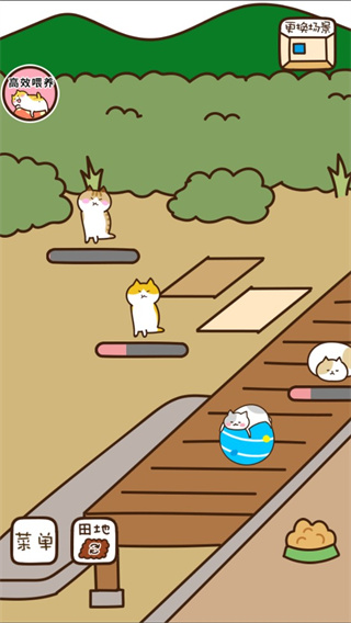 猫咪田园(1)
