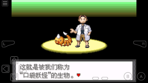 口袋妖怪错乱时空安卓官方版图3