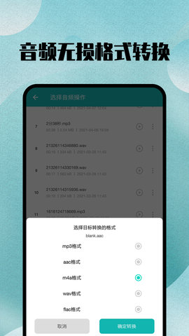 格式转换大师图3