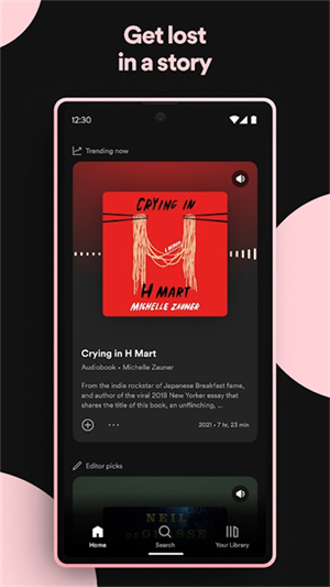 Spotify图4