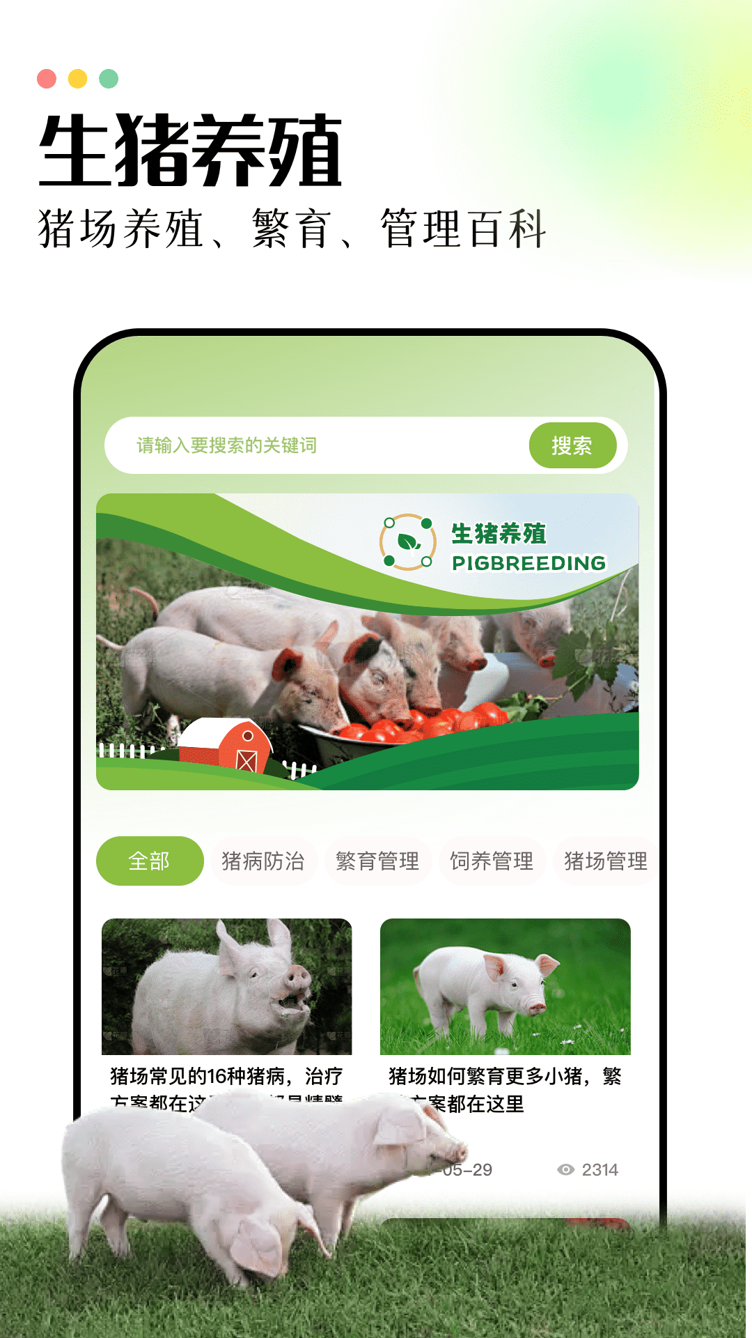 田园养猪场原版图2