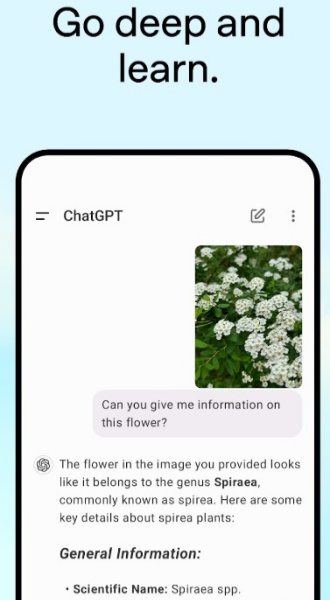 免费ChatGPT中文版