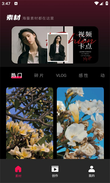 tibni手机正版(1)