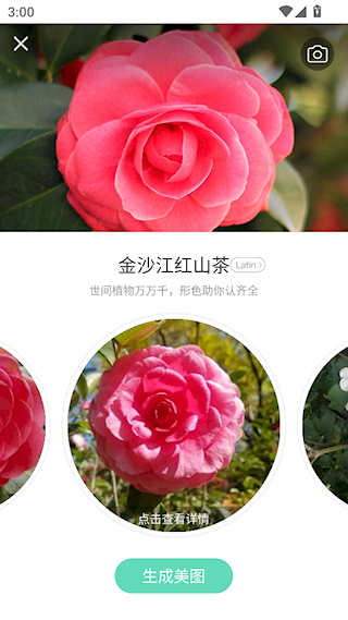 形色(1)