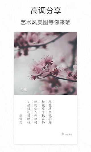 形色(3)
