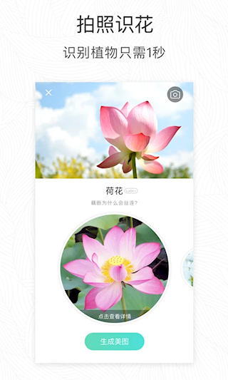 形色(4)