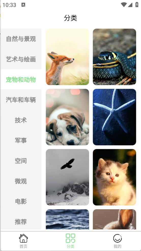 每日淘壁纸图1