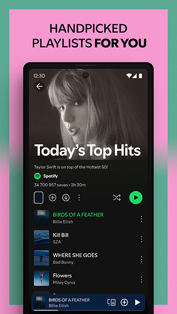 spotify图3