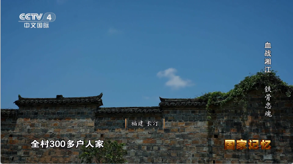 乘风TV(3)