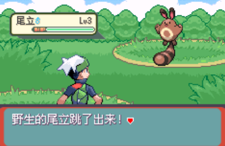 口袋妖怪传说绿宝石手机版图2