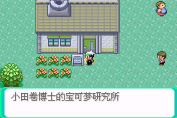 口袋妖怪传说绿宝石手机版图4