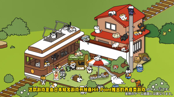 猫咪后院2正版(1)
