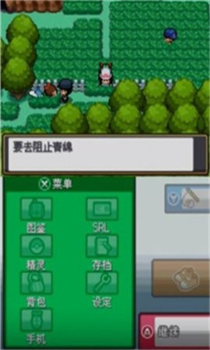 口袋妖怪起源心金小智版图3