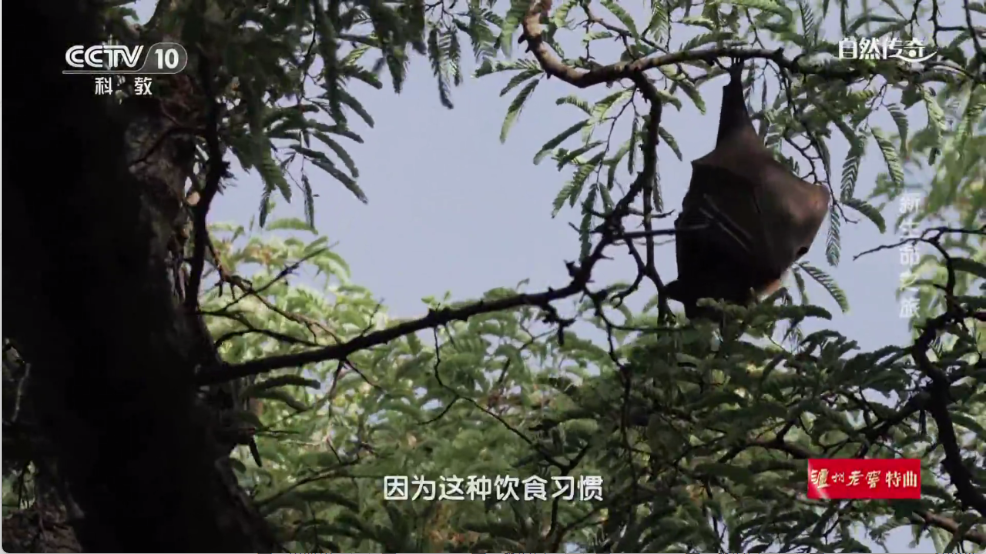 时光未央图4