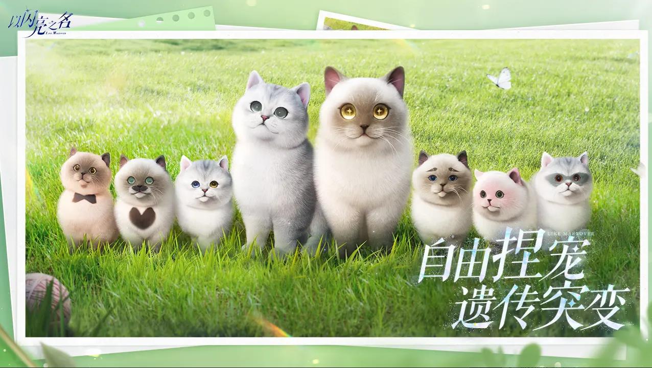 以闪亮之名图6