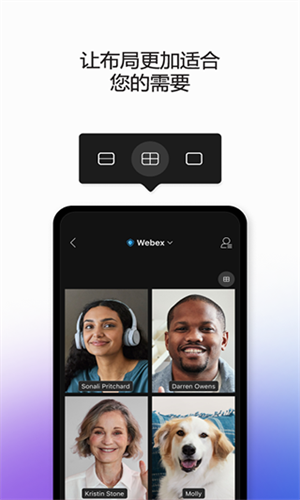 Webex(2)