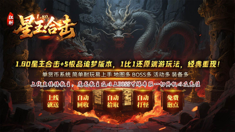 狂斩星王合击(5)