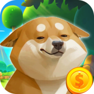 柴犬日记