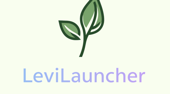 LeviLauncher无广告版图2