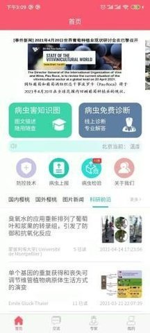 樱桃医生图2