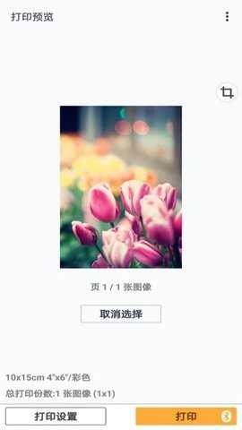 CanonPRINT图4