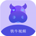 铁牛视频免费原版