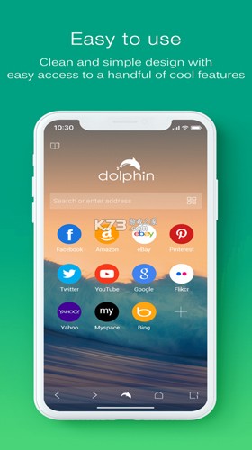 海豚浏览器flash版图2