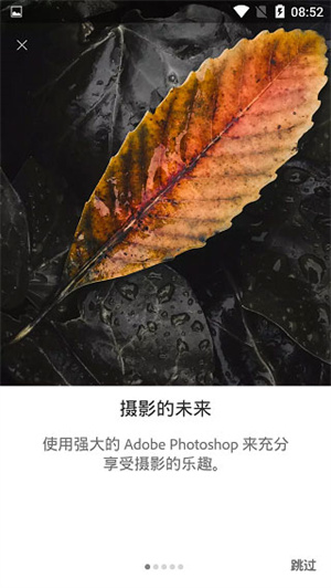 Lightroom中文版图3