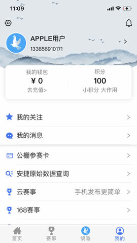 鸽派图5