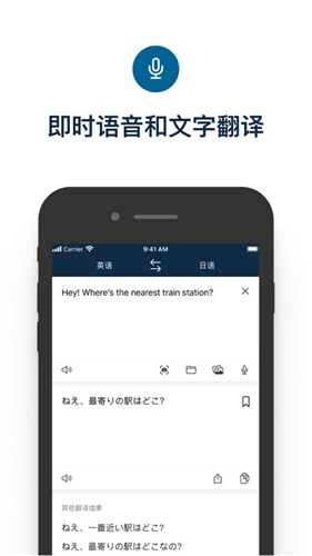 Deepl(4)