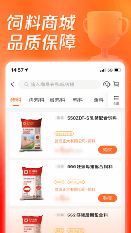 正大猪博士图3