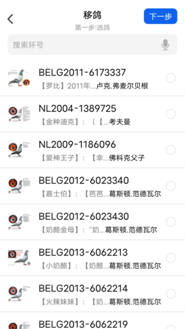 信鸽云图2