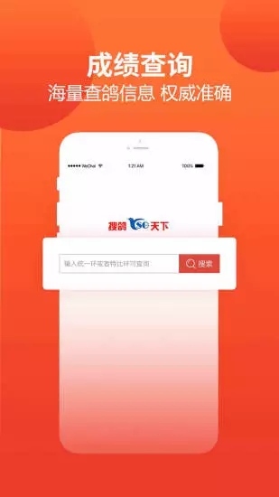赛鸽头条图1