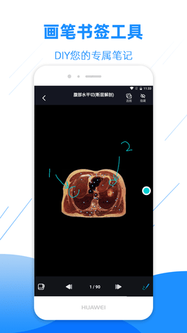影像解剖图谱原版图5