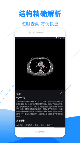 影像解剖图谱原版图3