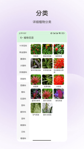 百科全书(3)