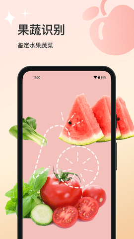 花卉识别-图3
