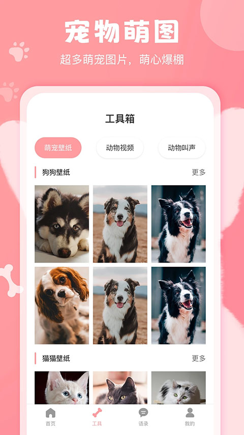 狗语翻译器免费版图3