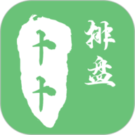 卜卜排盘